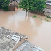 कैलालीको बाढी प्रभावित क्षेत्रमा सर्पको त्रास